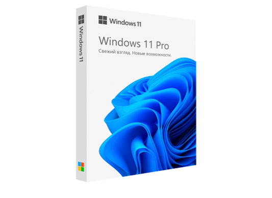 Microsoft Windows 11 Pro (license key)